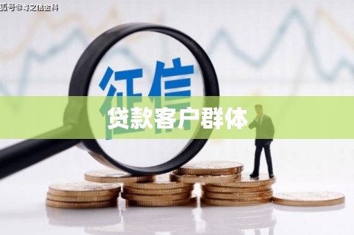 泰来贷款客户群体
