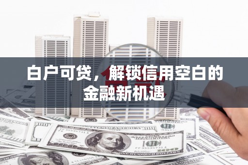 泰来白户可贷，解锁信用空白的金融新机遇