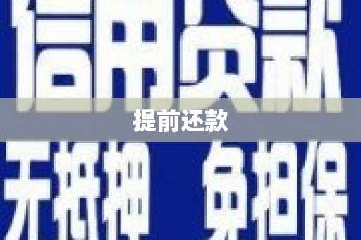 泰来提前还款
