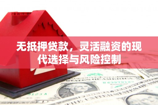 泰来无抵押贷款，灵活融资的现代选择与风险控制