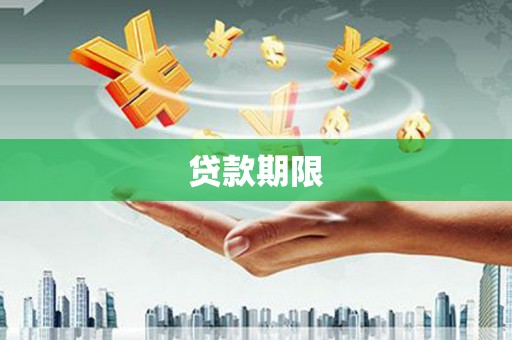 泰来贷款期限