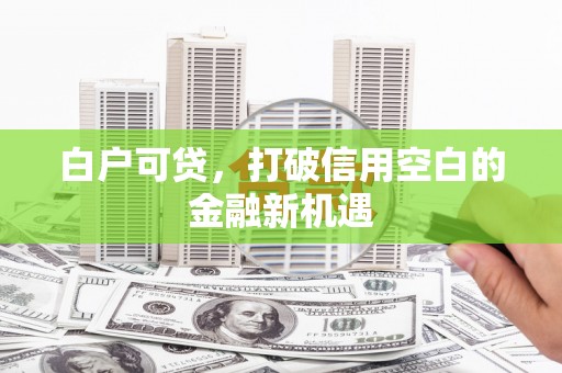泰来白户可贷，打破信用空白的金融新机遇