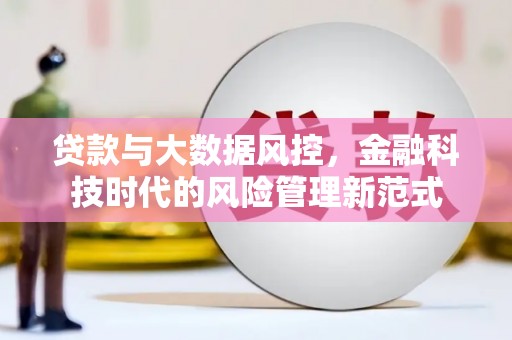 泰来贷款与大数据风控，金融科技时代的风险管理新范式