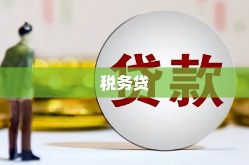 泰来税务贷