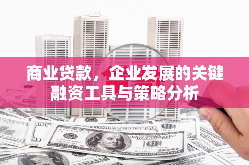 泰来商业贷款，企业发展的关键融资工具与策略分析