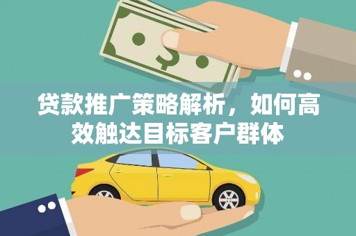 泰来贷款推广策略解析，如何高效触达目标客户群体