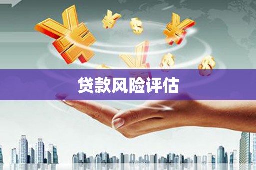 泰来贷款风险评估