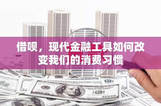 泰来借呗，现代金融工具如何改变我们的消费习惯