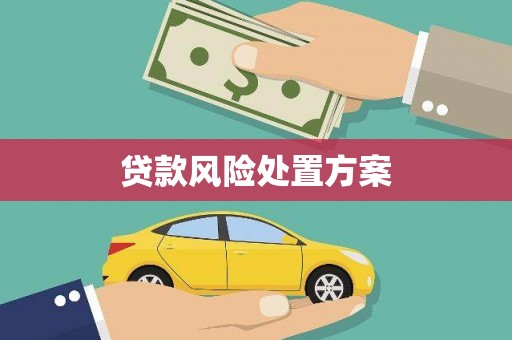 泰来贷款风险处置方案