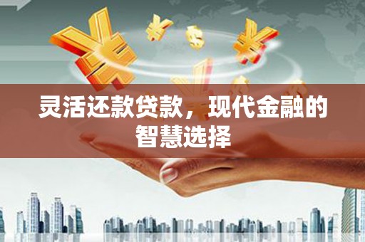 泰来灵活还款贷款，现代金融的智慧选择