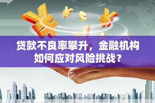 泰来贷款不良率攀升，金融机构如何应对风险挑战？