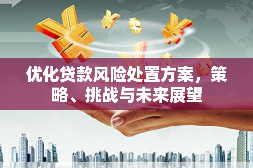 泰来优化贷款风险处置方案，策略、挑战与未来展望
