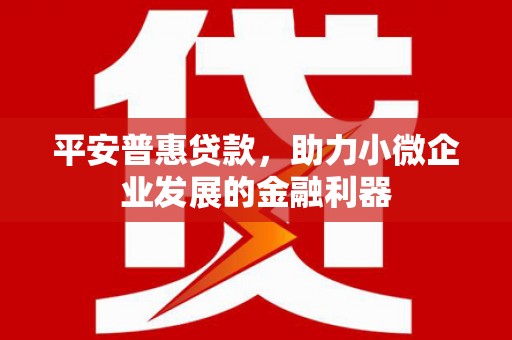 泰来平安普惠贷款，助力小微企业发展的金融利器