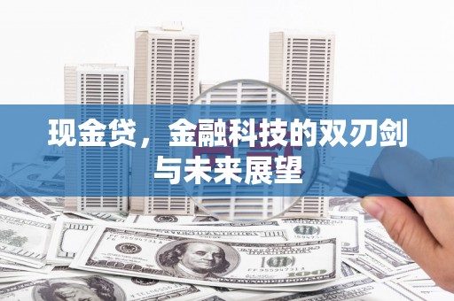 泰来现金贷，金融科技的双刃剑与未来展望