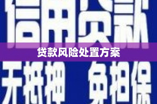 泰来贷款风险处置方案