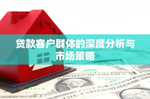 泰来贷款客户群体的深度分析与市场策略