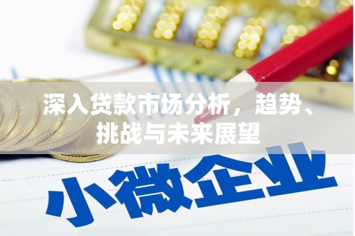 泰来深入贷款市场分析，趋势、挑战与未来展望