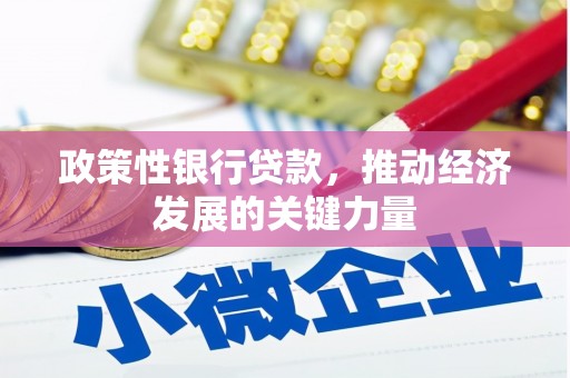 泰来政策性银行贷款，推动经济发展的关键力量