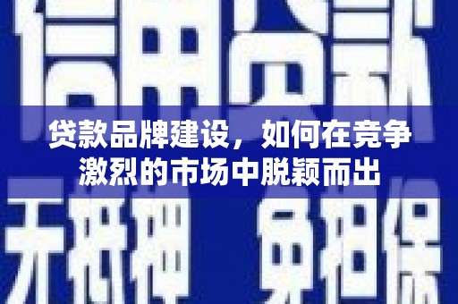 泰来贷款品牌建设，如何在竞争激烈的市场中脱颖而出