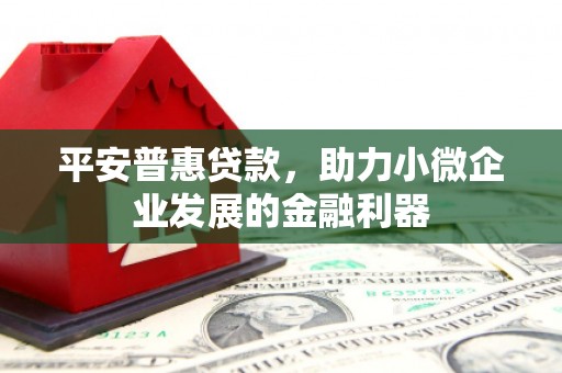 泰来平安普惠贷款，助力小微企业发展的金融利器