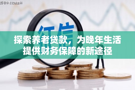 泰来探索养老贷款，为晚年生活提供财务保障的新途径