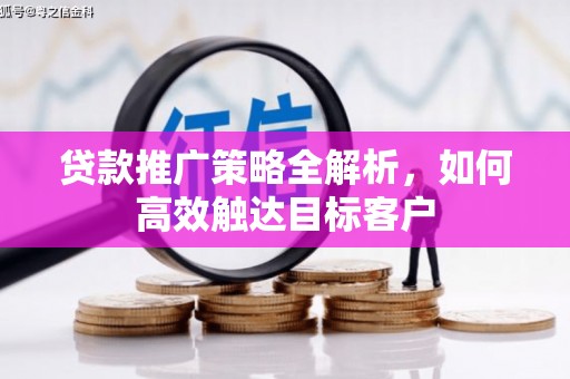 泰来贷款推广策略全解析，如何高效触达目标客户