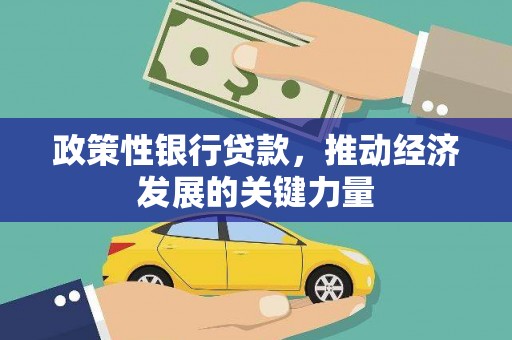 泰来政策性银行贷款，推动经济发展的关键力量