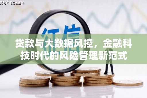 泰来贷款与大数据风控，金融科技时代的风险管理新范式