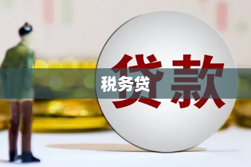 泰来税务贷