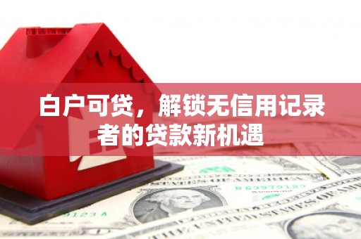 泰来白户可贷，解锁无信用记录者的贷款新机遇