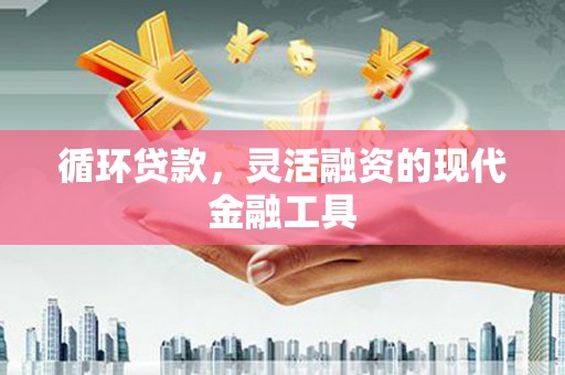 泰来循环贷款，灵活融资的现代金融工具