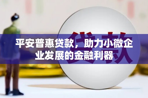 泰来平安普惠贷款，助力小微企业发展的金融利器