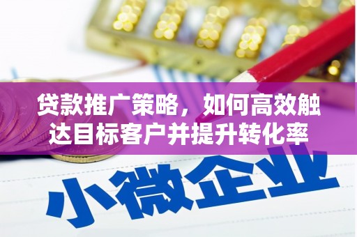泰来贷款推广策略，如何高效触达目标客户并提升转化率