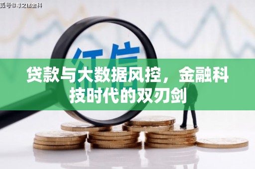 泰来贷款与大数据风控，金融科技时代的双刃剑
