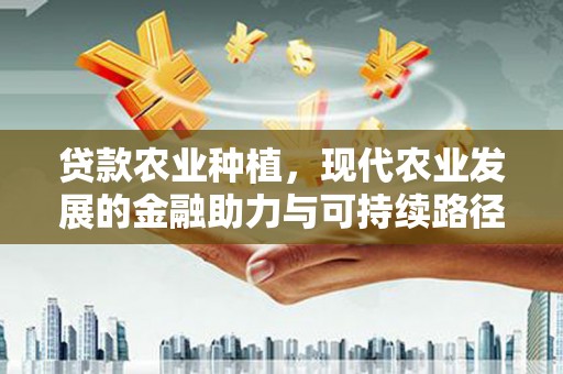 泰来贷款农业种植，现代农业发展的金融助力与可持续路径