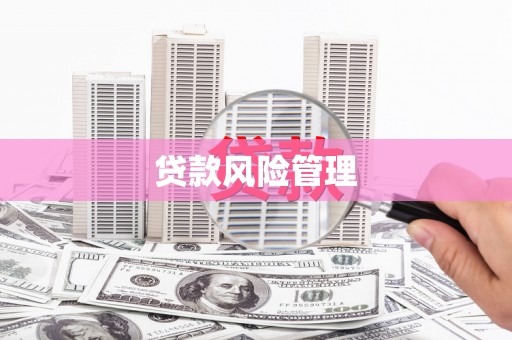 泰来贷款风险管理