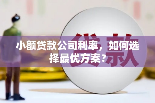 泰来小额贷款公司利率，如何选择最优方案？