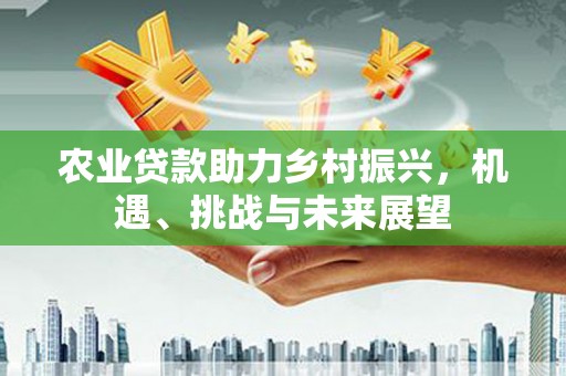 泰来农业贷款助力乡村振兴，机遇、挑战与未来展望