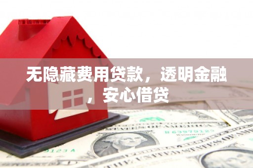 泰来无隐藏费用贷款，透明金融，安心借贷