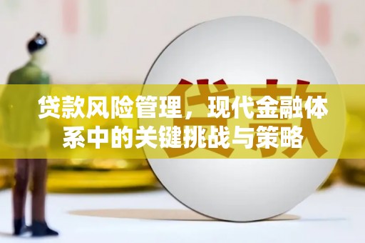 泰来贷款风险管理，现代金融体系中的关键挑战与策略