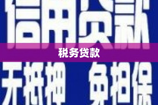 泰来税务贷款