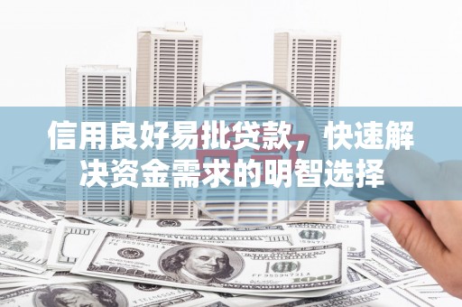 泰来信用良好易批贷款，快速解决资金需求的明智选择