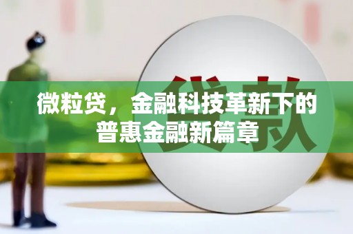 泰来微粒贷，金融科技革新下的普惠金融新篇章