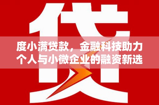 泰来度小满贷款，金融科技助力个人与小微企业的融资新选择