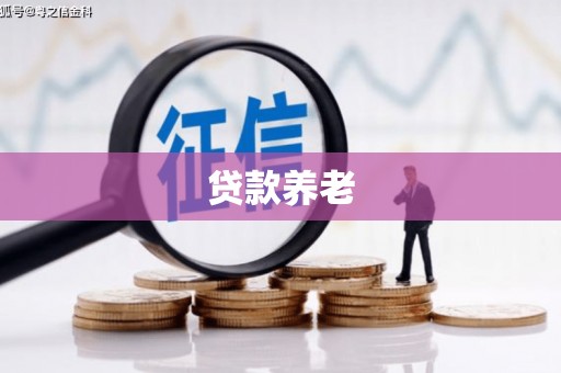 泰来贷款养老