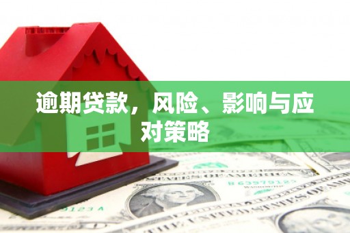 泰来逾期贷款，风险、影响与应对策略