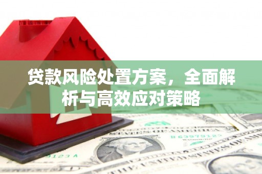 泰来贷款风险处置方案，全面解析与高效应对策略