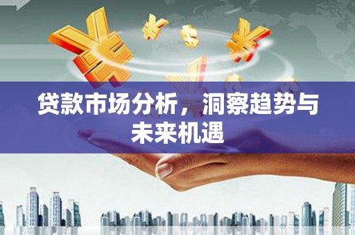 泰来贷款市场分析，洞察趋势与未来机遇