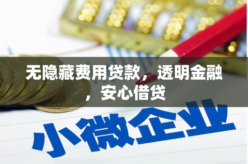 泰来无隐藏费用贷款，透明金融，安心借贷