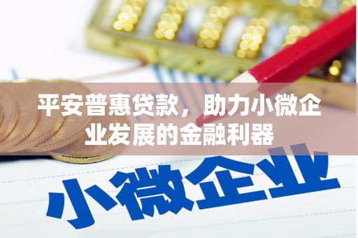 泰来平安普惠贷款，助力小微企业发展的金融利器